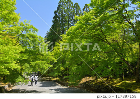 京都・嵯峨野　二尊院 117897159