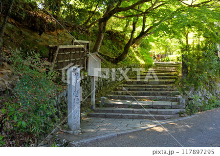 京都・嵯峨野 京都・嵯峨野 117897295