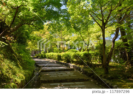 京都・嵯峨野 京都・嵯峨野 117897296
