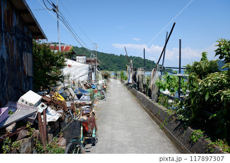 琵琶湖・沖島 湖岸の道 琵琶湖・沖島 湖岸の道 117897307