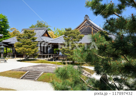 京都・嵯峨野 大覚寺 117897432