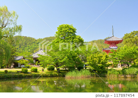 京都・嵯峨野 大覚寺 京都・嵯峨野 大覚寺 117897454