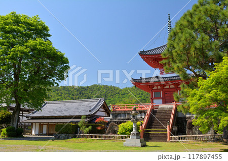 京都・嵯峨野 大覚寺 京都・嵯峨野 大覚寺 117897455
