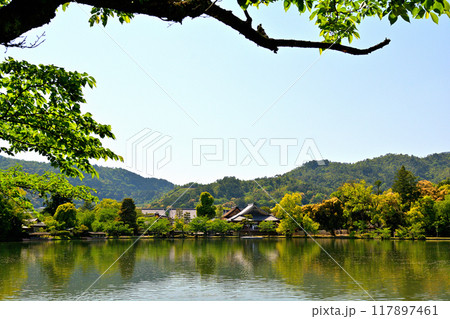 京都・嵯峨野 大覚寺 京都・嵯峨野 大覚寺 117897461