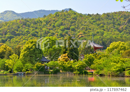 京都・嵯峨野 大覚寺 京都・嵯峨野 大覚寺 117897462
