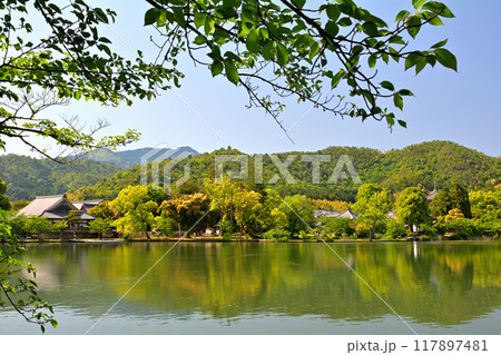 京都・嵯峨野 大覚寺 117897481