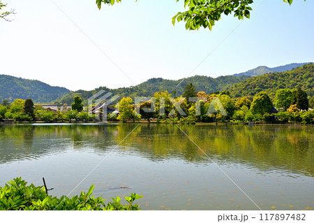京都・嵯峨野 大覚寺 117897482