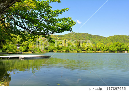 京都・嵯峨野 大覚寺 117897486