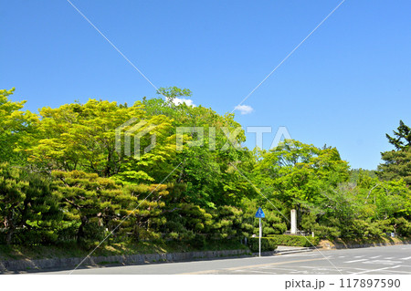京都・嵯峨野 大覚寺 京都・嵯峨野 大覚寺 117897590