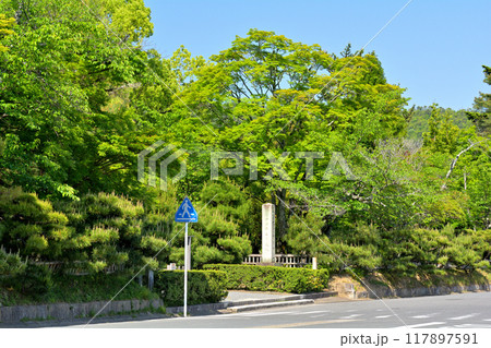 京都・嵯峨野 大覚寺 京都・嵯峨野 大覚寺 117897591