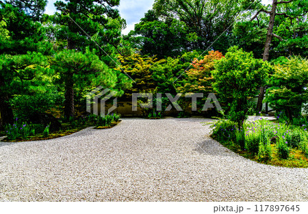 京都、蘆山寺の源氏庭 117897645
