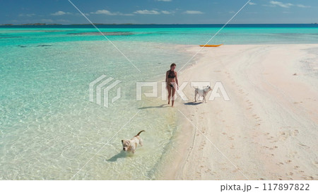 Woman enjoying a sunny day at a maldives beach with her dogs, walking leisurely along the shore Woman enjoying a sunny day at a maldives beach with her dogs, walking leisurely along the shore 117897822