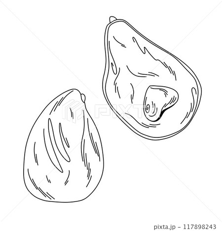 linear image of avocado and its halves in doodle style isolated on white background 117898243
