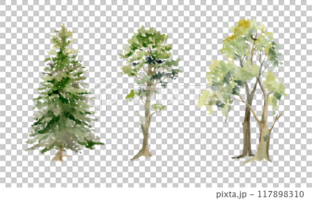 Scenery landscape coniferous deciduous forest fir spruce pine trees, oak cherry ash birch hand drawn in watercolor. Single isolated element for tourism, resort ads, hiking camping sites vacation. 117898310