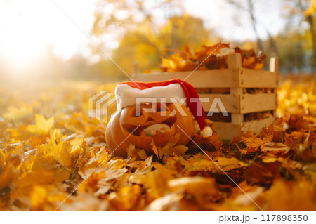 Halloween pumpkin on the autumn park. Holidays, decoration concept. Halloween pumpkin on the autumn park. Holidays, decoration concept. 117898350