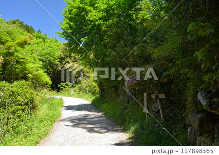 日本100名城・観音寺城 117898365