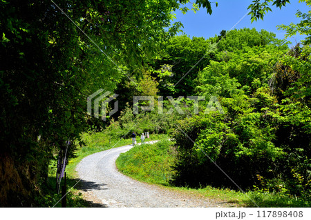 日本100名城・観音寺城 117898408