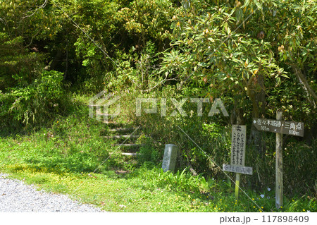 日本100名城・観音寺城 117898409