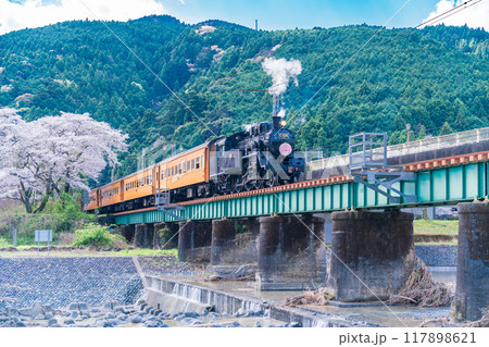 （静岡県）桜満開の家山橋を走るSL 117898621