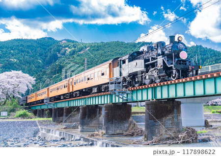 (静岡県)桜満開の家山橋を走るSL (静岡県)桜満開の家山橋を走るSL 117898622