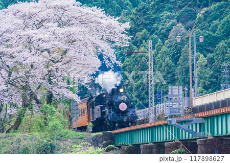（静岡県）桜満開の家山橋を走るSL 117898627