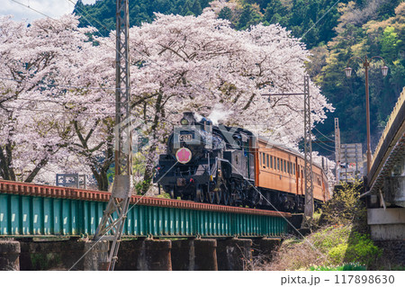 （静岡県）桜満開の家山橋を走るSL 117898630