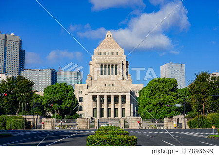 青空に映える国会議事堂(東京都千代田区永田町) 青空に映える国会議事堂(東京都千代田区永田町) 117898699