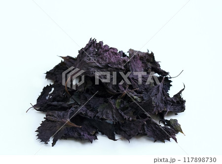 Dried leaves of purple Perilla frutescens var. crispa on white background. 117898730