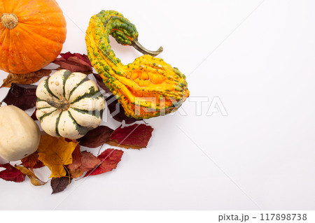Autumn decoration from dry leaves and pumpkin on white background. Flat lay. Thanksgiving concept. Autumn decoration from dry leaves and pumpkin on white background. Flat lay. Thanksgiving concept. 117898738