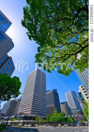 【大阪府】5月・梅田新道歩道橋から大阪の街並みを望む 【大阪府】5月・梅田新道歩道橋から大阪の街並みを望む 117898901