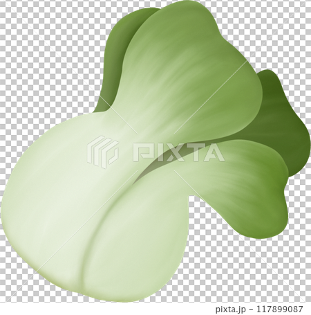 Pakcoy royalty Pakcoy royalty 117899087