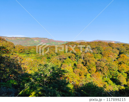 秋の焼石岳登山（つぶ沼コース）：横岳・東焼石岳・六沢山を望む 117899215