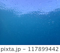 西表島　ダイビング 117899442