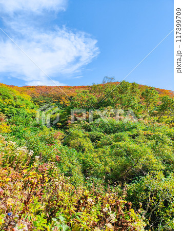 秋の焼石岳登山（銀明水避難小屋～姥石平） 117899709