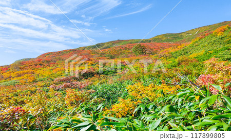 秋の焼石岳登山（銀明水避難小屋～姥石平） 117899805
