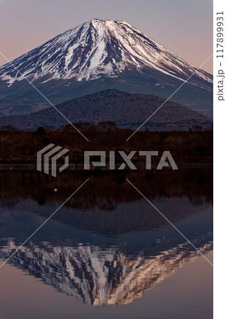 精進湖湖畔から見る残照の富士山 117899931