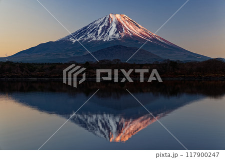 精進湖湖畔から見る夕照の富士山 精進湖湖畔から見る夕照の富士山 117900247