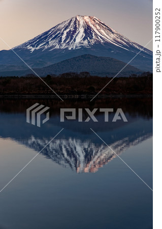 精進湖湖畔から見る夕照の富士山 117900252