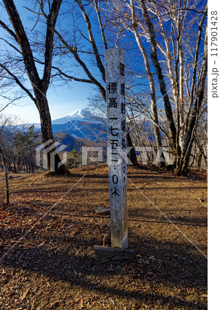 冬の南大菩薩・ハマイバ丸から見る富士山 117901428