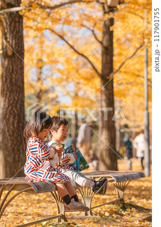 秋の公園で遊ぶ子供 秋の公園で遊ぶ子供 117901755