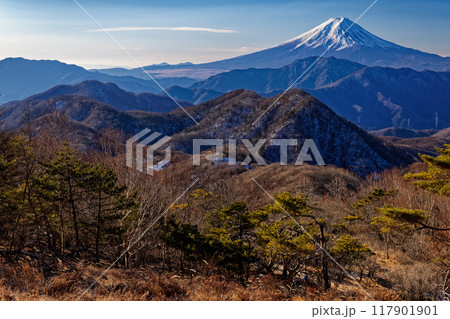 南大菩薩・ハマイバ丸から見る冬の富士山 117901901