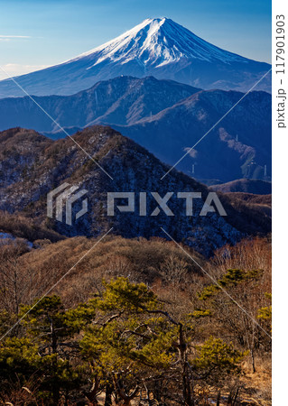 南大菩薩・ハマイバ丸から見る冬の富士山 南大菩薩・ハマイバ丸から見る冬の富士山 117901903