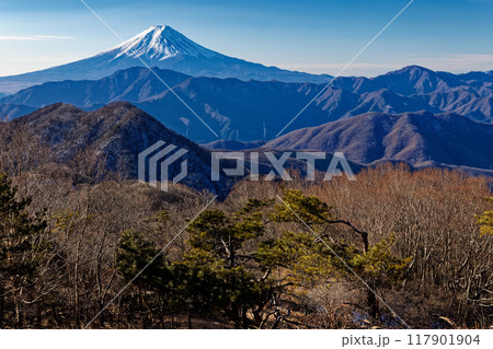 南大菩薩・ハマイバ丸から見る冬の富士山 南大菩薩・ハマイバ丸から見る冬の富士山 117901904