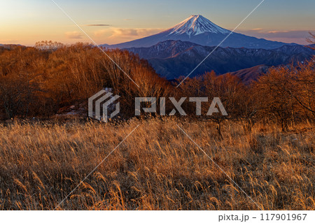 夜明けの南大菩薩・大蔵高丸から見る富士山 夜明けの南大菩薩・大蔵高丸から見る富士山 117901967