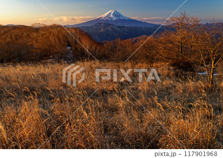 夜明けの南大菩薩・大蔵高丸から見る富士山 117901968