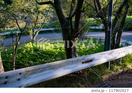 曲線の田舎の道 117902027