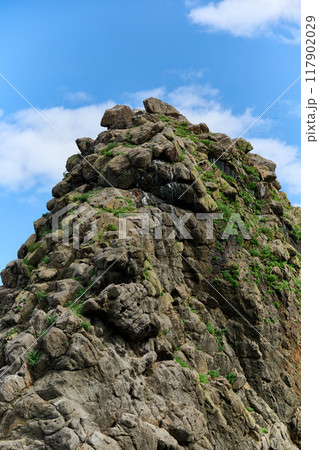 岩山 岩山 117902029