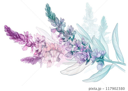 美しく咲いたエリカの花 117902380