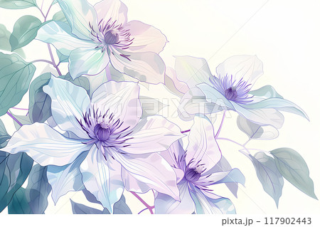 美しく咲いたクレマチスの花 117902443