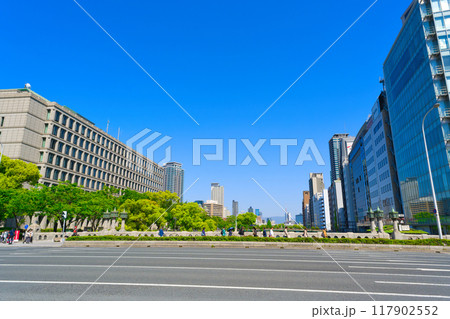 【大阪府】5月・御堂筋から大阪市役所を望む 117902552